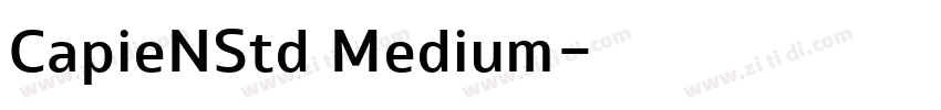 CapieNStd Medium字体转换